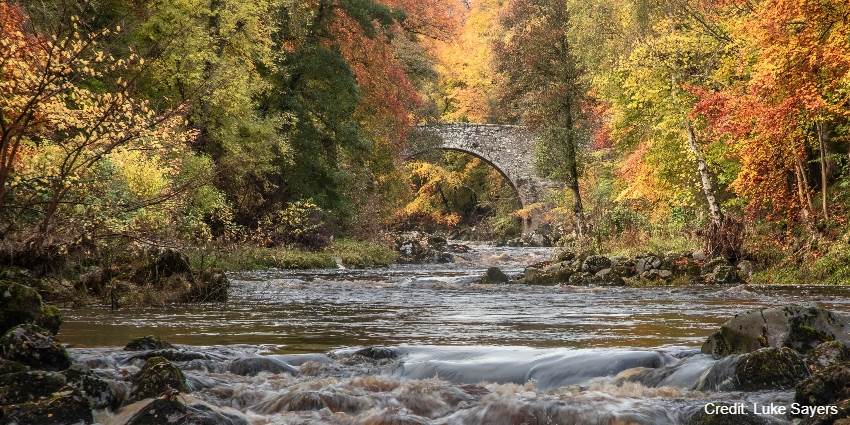 Castle Bridge / Elgin's Bridge