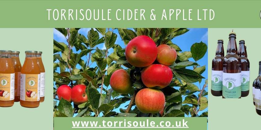 Torrisoule Cider & Apple Ltd